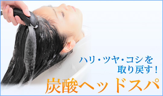 ヘッドスパ特集 炭酸ヘッドスパ