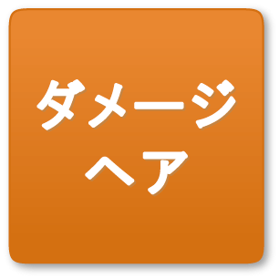 ダメージヘア