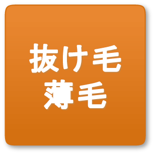 抜け毛・薄毛